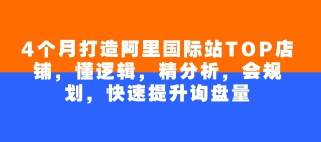 4个月打造阿里国际站TOP店铺，懂逻辑，精分析，会规划，快速提升询盘量-彼飞网创