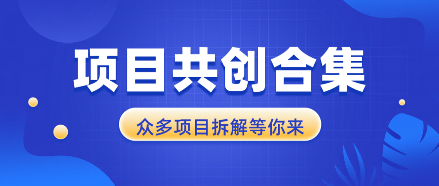 项目共创合集，从0-1全过程拆解，让你迅速找到适合自已的项目-彼飞网创