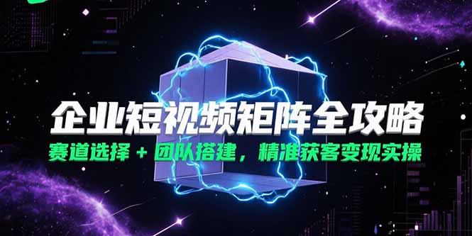 企业短视频矩阵全攻略，赛道选择+团队搭建，精准获客变现实操-彼飞网创