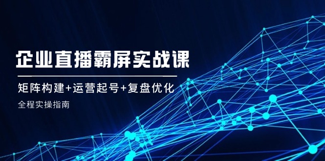 企 业 直 播 霸 屏实战课：矩阵构建+运营起号+复盘优化，全程实操指南-彼飞网创