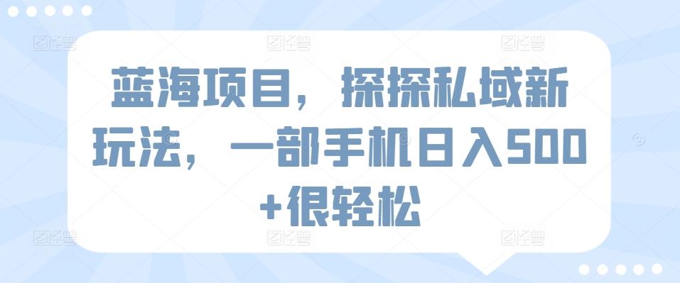 蓝海项目，探探私域新玩法，一部手机日入500+很轻松【揭秘】-彼飞网创
