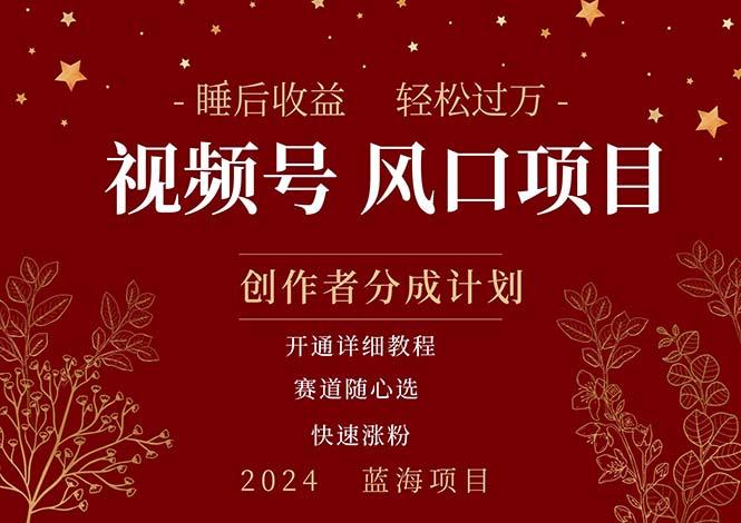 拥有睡眠收益的微信视频号大风口项目，轻松月入过万+，多赛道选择，可…-彼飞网创