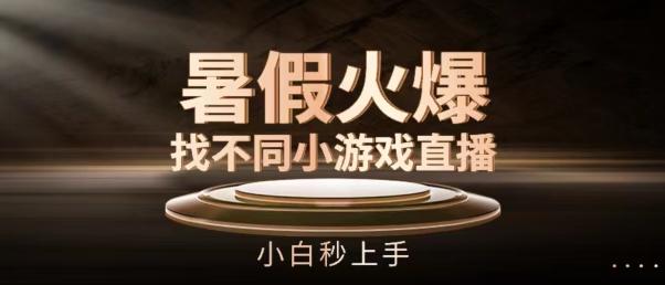 暑假火爆找不同小游戏直播间，小白秒上手【揭秘】-彼飞网创