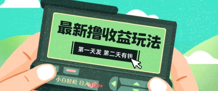 2024最新撸视频收益玩法，第一天发，第二天就有钱-彼飞网创