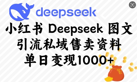 小红书Deepseek图文引流私域售卖资料，单日变现多张-彼飞网创