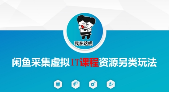 闲鱼采集虚拟IT课程资源另类玩法，干货满满-彼飞网创