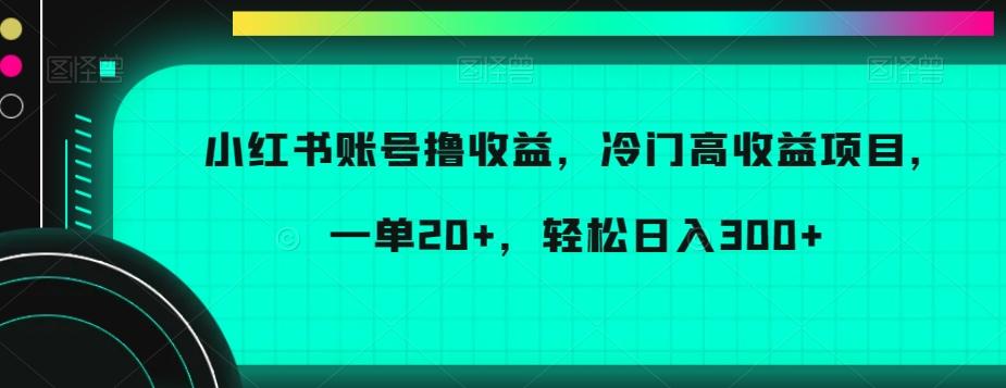 小红书账号撸收益，冷门高收益项目，一单20+，轻松日入300+【揭秘】-彼飞网创