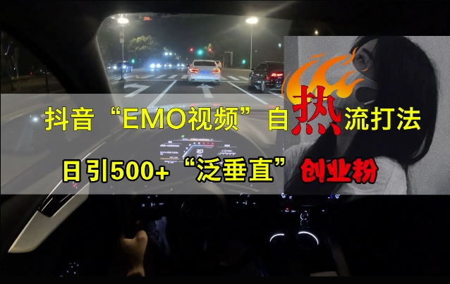 抖音EMO视频自热打法，日引500+“泛垂直”创业粉-彼飞网创