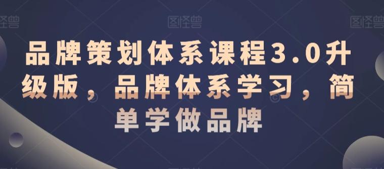 品牌策划体系课程3.0升级版，品牌体系学习，简单学做品牌-彼飞网创