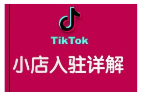 TikTok跨境小店运营全攻略，帮助你独立运营TK跨境小店的能力，实现销量增长-彼飞网创
