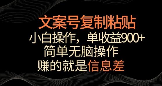 文案号掘金，简单复制粘贴，小白操作，单作品收益900+【揭秘】-彼飞网创