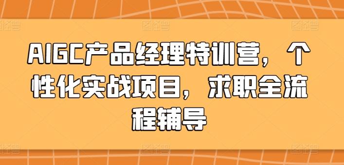 AIGC产品经理特训营，个性化实战项目，求职全流程辅导-彼飞网创