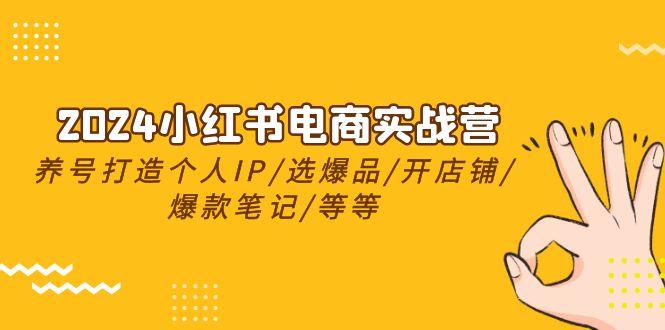 2024小红书电商实战营，养号打造IP/选爆品/开店铺/爆款笔记/等等(24节)-彼飞网创
