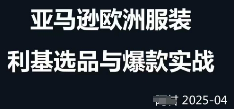 跨境电商选品案例24-25年，聚焦跨境电商选品策略与运营优化，助力卖家挖掘蓝海市场-彼飞网创