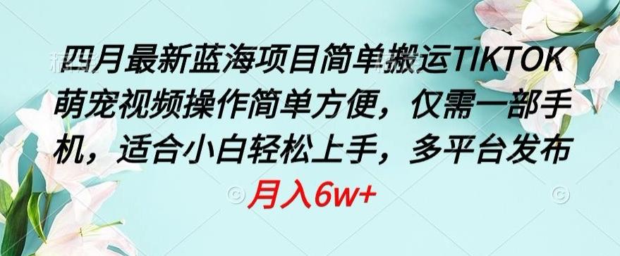 四月最新蓝海项目，简单搬运TIKTOK萌宠视频，操作简单方便，仅需一部手机【揭秘】-彼飞网创