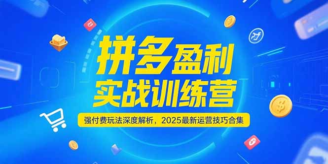 拼多多盈利实战训练营，强付费玩法深度解析，2025运营技巧合集-更新6月-彼飞网创