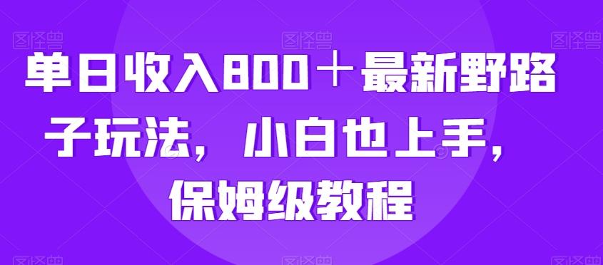 单日收入800＋最新野路子玩法，小白也上手，保姆级教程-彼飞网创