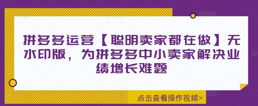 拼多多运营【聪明卖家都在做】无水印版，为拼多多中小卖家解决业绩增长难题-彼飞网创
