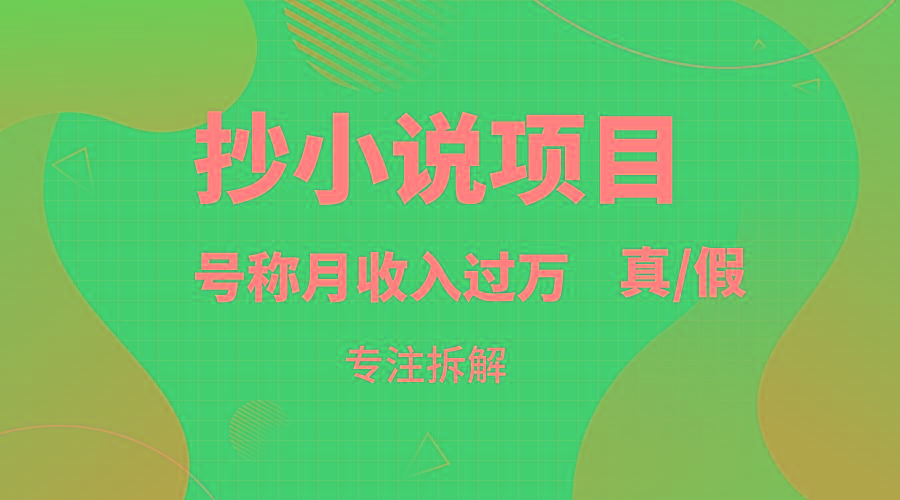 抄小说项目，号称月入过万，到底是否真实，能不能做，详细拆解-彼飞网创