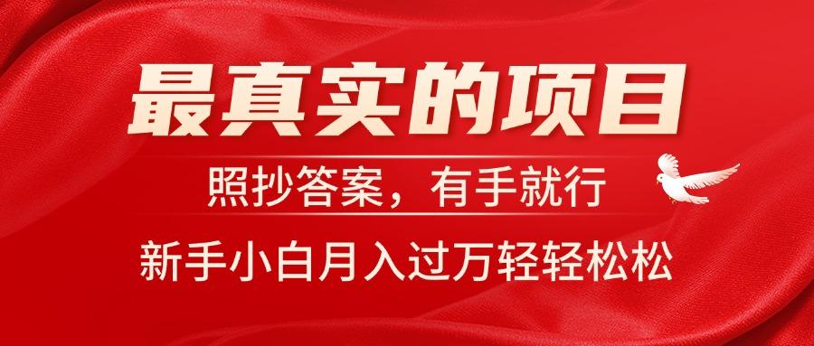 最真实的项目，照抄答案，有手就行，新手小白月入过万轻轻松松-彼飞网创