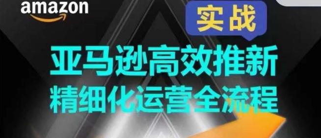 亚马逊高效推新精细化运营全流程，全方位、快速拉升产品排名和销量!-彼飞网创
