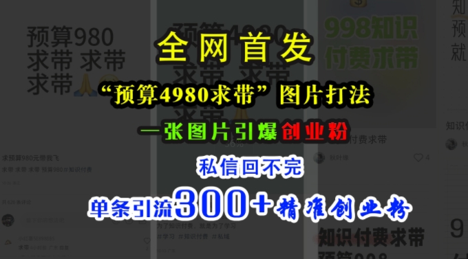 小红书“预算4980带我飞”图片打法，一张图片引爆创业粉，私信回不完，单条引流300+精准创业粉-彼飞网创
