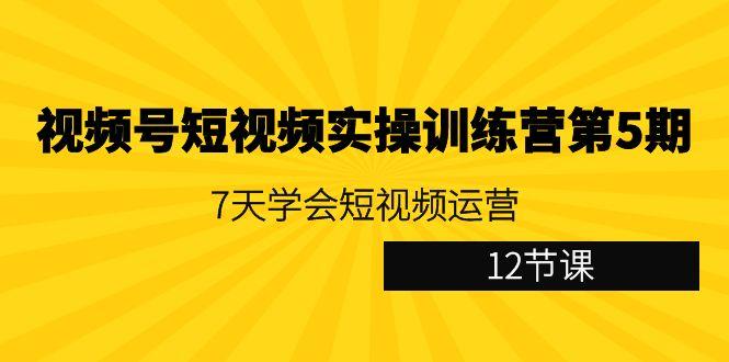 视频号短视频实操训练营第5期：7天学会短视频运营(12节课)-彼飞网创
