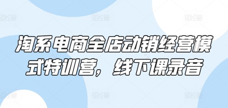 淘系电商全店动销经营模式特训营，线下课录音-彼飞网创
