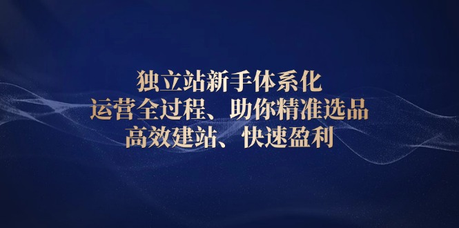 独立站新手体系化 运营全过程，助你精准选品、高效建站、快速盈利-彼飞网创