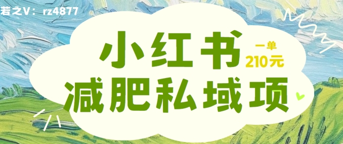 小红书减肥粉，私域变现项目，一单就达210元，小白也能轻松上手【揭秘】-彼飞网创