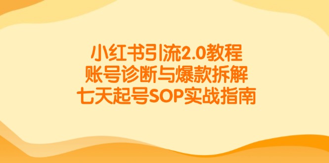 小红书引流2.0教程，账号诊断与爆款拆解，七天起号SOP实战指南-彼飞网创