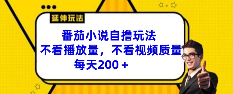 番茄小说自撸玩法，不看播放量，不看视频质量，每天200+【揭秘】-彼飞网创