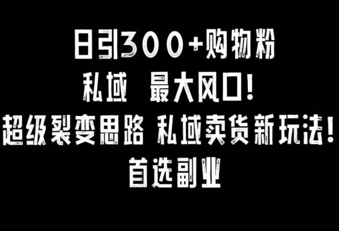 日引300+购物粉，超级裂变思路，私域卖货新玩法，小红书首选副业【揭秘】-彼飞网创