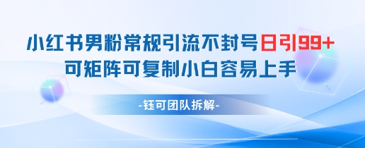 小红书男粉常规引流不封号日引99+变现简单 可矩阵可复制小白容易上手-彼飞网创