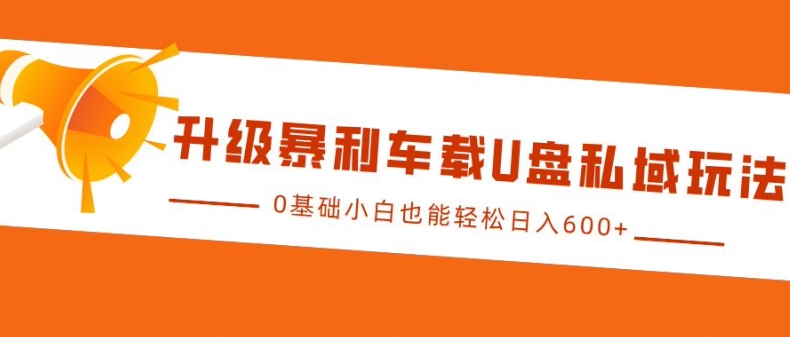 升级暴利车载U盘私域玩法，0基础小白也能轻松日入多张【揭秘】-彼飞网创