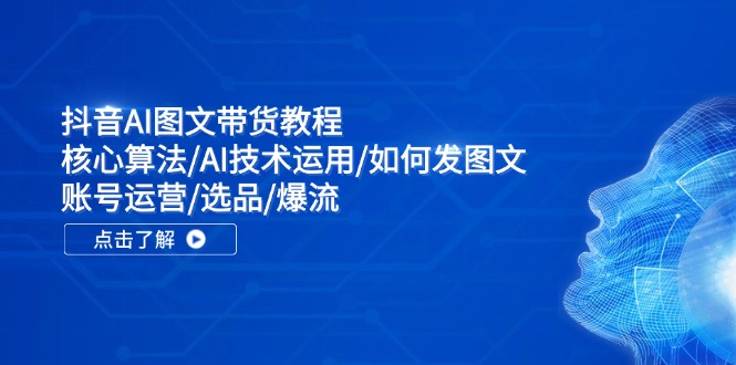 抖音AI图文带货教程：核心算法/AI技术运用/如何发图文/账号运营/选品/爆流-彼飞网创