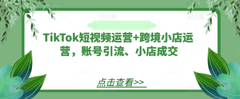 TikTok短视频运营+跨境小店运营，账号引流、小店成交-彼飞网创