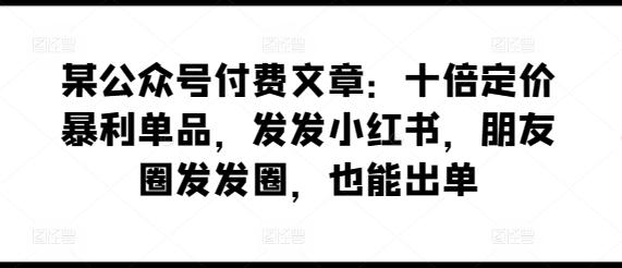 某公众号付费文章：十倍定价暴利单品，发发小红书，朋友圈发发圈，也能出单-彼飞网创