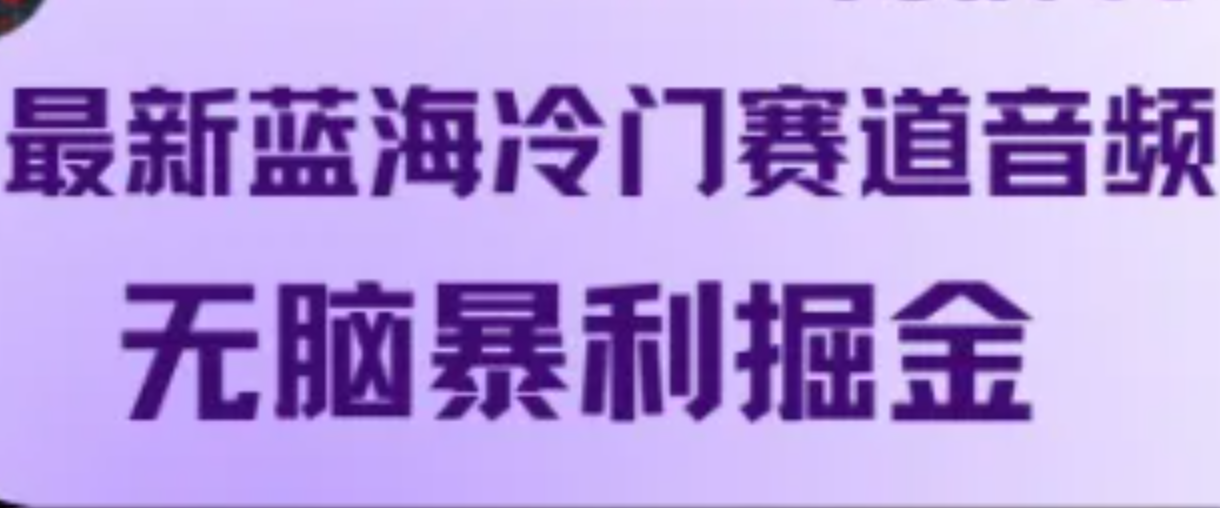 最新蓝海冷门赛道音频，无脑暴利掘金-彼飞网创