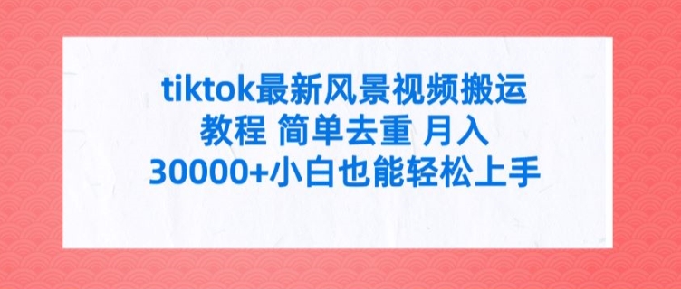 tiktok最新风景视频搬运教程 简单去重 月入3W+小白也能轻松上手【揭秘】-彼飞网创