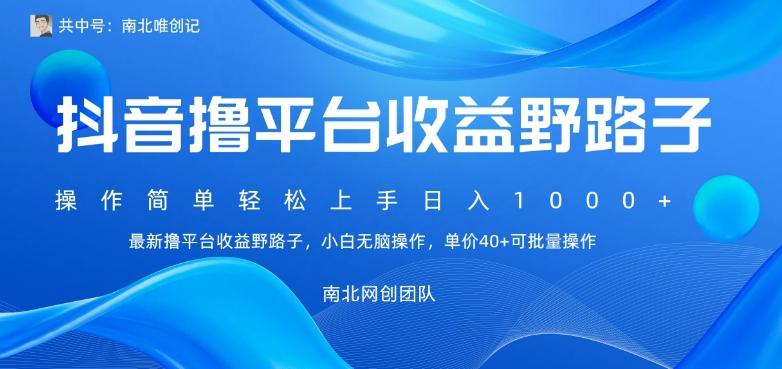 最新撸抖音平台收益野路子，操作简单，单价高，小白可无脑操作可日入1000+-彼飞网创