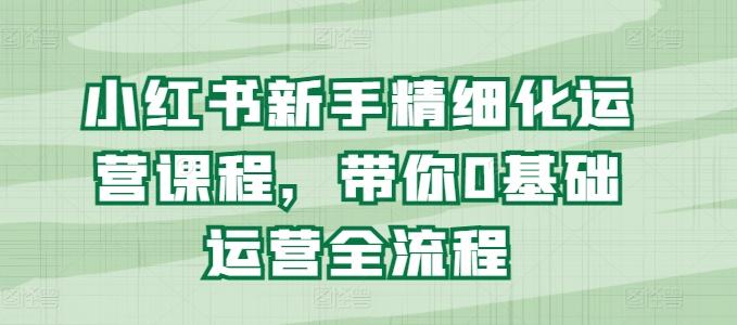 小红书新手精细化运营课程，带你0基础运营全流程-彼飞网创