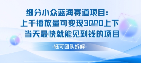 小众蓝海赛道项目：当天变现1k+适合新手操作 +适合长期玩-彼飞网创
