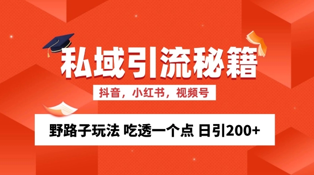 私域流量的精准化获客方法 野路子玩法 吃透一个点 日引200+ 【揭秘】-彼飞网创