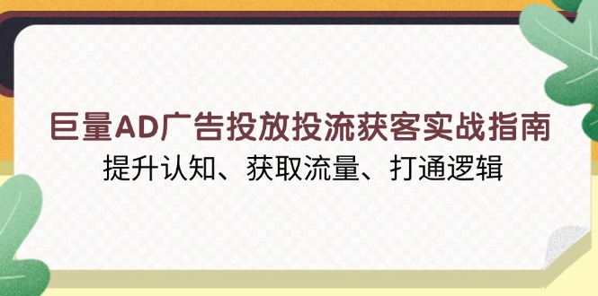 巨量AD广告投放投流获客实战指南，提升认知、获取流量、打通逻辑-彼飞网创
