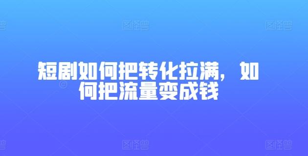 短剧如何把转化拉满，如何把流量变成钱-彼飞网创