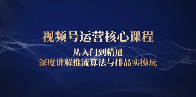 视频号运营核心课程，从入门到精通，深度讲解推流算法与排品实操玩-彼飞网创