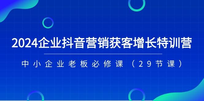 2024企业抖音-营销获客增长特训营，中小企业老板必修课(29节课-彼飞网创