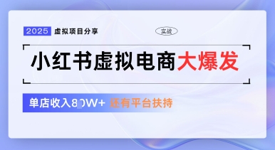 小红书虚拟电商项目，平台大力免费流量扶持，低门槛1拖3玩法-彼飞网创