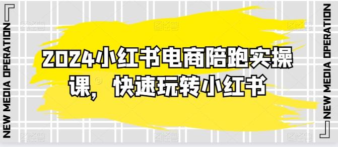 2024小红书电商陪跑实操课，快速玩转小红书，超过20节精细化课程-彼飞网创